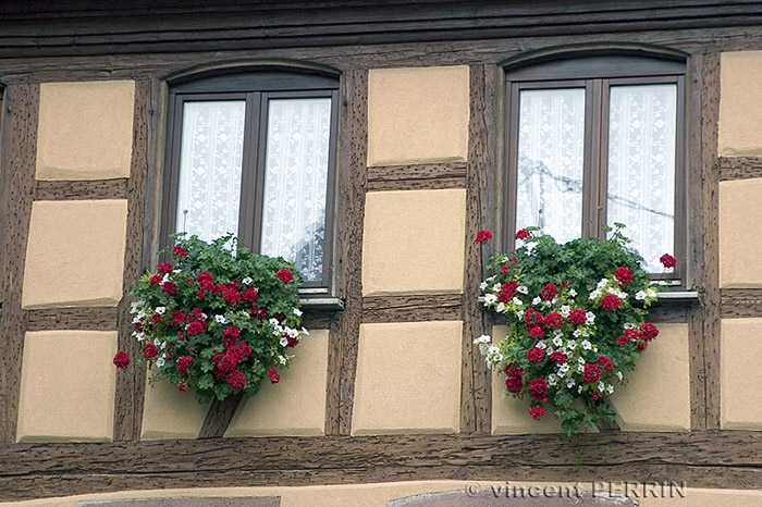 Fenetres fleuries.jpg